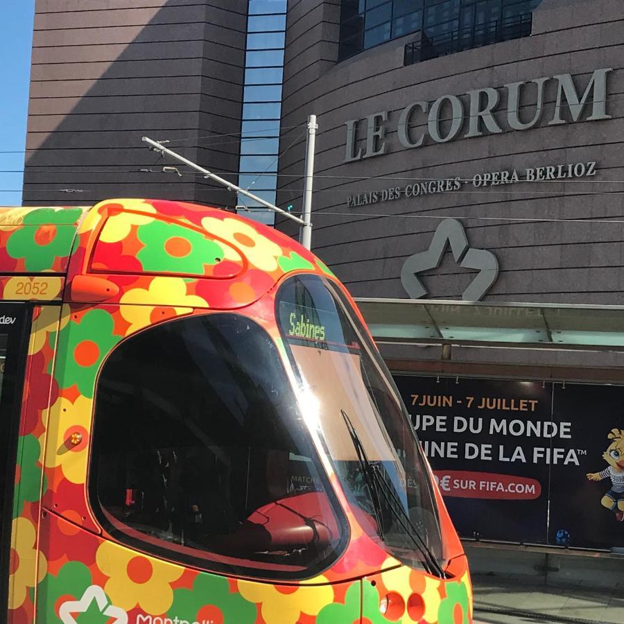 Apartament Simone'S Tiny House Montpellier Zewnętrze zdjęcie